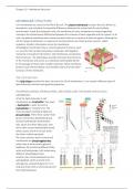 Summary Molecular Biology of the Cell 2 (WBFA007-04) 