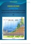 Ecological Succession Environmental Science