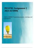 PES3701 ASSIGNMENT 2 2023 (673999)