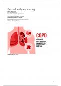 Gezondheidsbevordering jaar 3 HBO Verpleegkunde, COPD en roken, uitwerking voorlichting