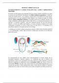 Embriologia del sistema cardiovascular resumen