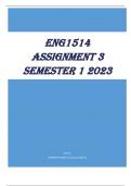 ENG1514 Assignment 3 Semester 1 2023