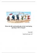 IB History IA on the Role of Social Media during the Arab Spring