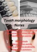 "Unlocking Dental Secrets: Comprehensive Tooth Morphology Guide"