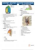 Anatomy Comprehensive notes on Superior, Anterior, Posterior Mediastinum