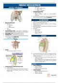 Anatomy Comprehensive notes on Middle Mediastinum