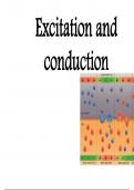 (PHYSIOLOGY) Excitation and conduction