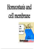 (PHYSIOLOGY) Homeostasis and cell membrane