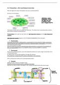 Summary Notes on Photosynthesis - AQA A Level Biology 