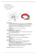 samenvatting neuroanatomie H1-H4  (les 1 tem 4)