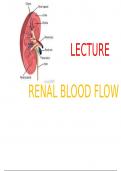 Summary of Renal blood flow