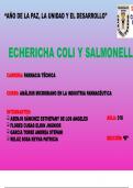 Presentación Escherichia Coli y Salmonella 