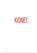 Summary of Structure and function of kidney