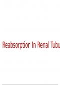 Summary of reabsorption in renal tubules