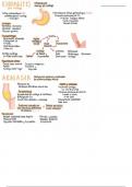 Apuntes Fisiopatología: Acalasia y esofagitis  