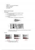 PSYC 336 Final Exam Notes