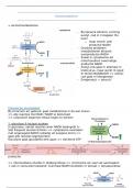 samenvatting Ethanolmetabolisme (medische biochemie)
