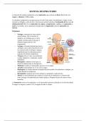 Sistema respiratorio, Sistema digestivo y Sistema urinario