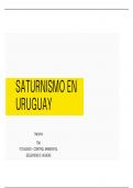 Saturnismo en Uruguay /  Intoxicación con plomo