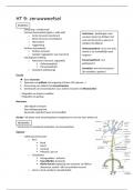 Histologie samenvatting Zenuwweefsel