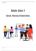 KRM310 Study Unit 7: Social Process Perspectives