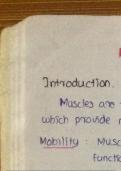 Muscle structure & function made easy!! Full detailed notes for this chapter