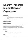 Energy Transfers in and Between Organisms summary pages