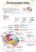 Guía de estudio completa del sistema nervioso central 