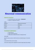 neuronal communication summary