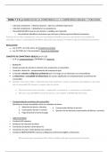 Apuntes Derecho Mercantil Tema 7 y 8