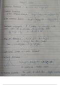 Complete PHYSICS, CHEMISTRY, MATHS handwritten topper notes