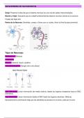 Generalidades de Neuroanatomia