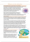 Samenvatting Mitose en de celcyclus - Leerdoelen celbiologie