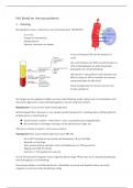 Het bloed en immuunsysteem - Fysiologie en Pathofysiologie I 
