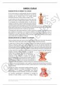 Apuntes Cabeza y cuello Anatomía I