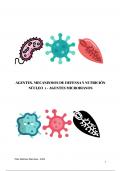 Generalidades de Virus, Bacterias, Hongos 
