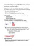 Samenvatting: Leerdoelen - toegang tot de bloedbaan - shunts (EPA 1)