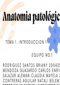 Presentación de anatomía patologica 