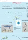 Características de los antígenos y funcion