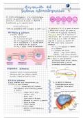 Embriologia del sistema estomatogmatico 