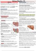 Anatomía de Glándulas anexas, Sistema Digestivo