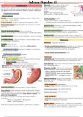 Resumen de anatomía del sistema digestivo 2