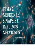 Neuronas, sinapsis e impulsos nerviosos