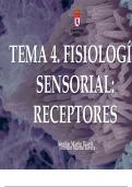 Tema 4. Fisiología sensorial. Receptores sensoriales