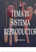 Tema 24. Aparato reproductor