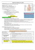 endocrine and thyroid notes 