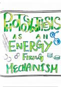 Class notes Biology  on photosynthesis mechanism 