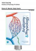 Test Bank for Anatomy & Physiology 7th Edition, 7th Edition by Elaine N. Marieb, 9780135168042, Covering Chapters 1-26 | Includes Rationales