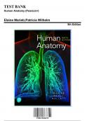 Test Bank: Human Anatomy (Pearson+), 9th Edition by Brady - Chapters 1-29, 9780135206195 | Rationals Included