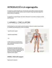 Organografia: Sistema circulatori